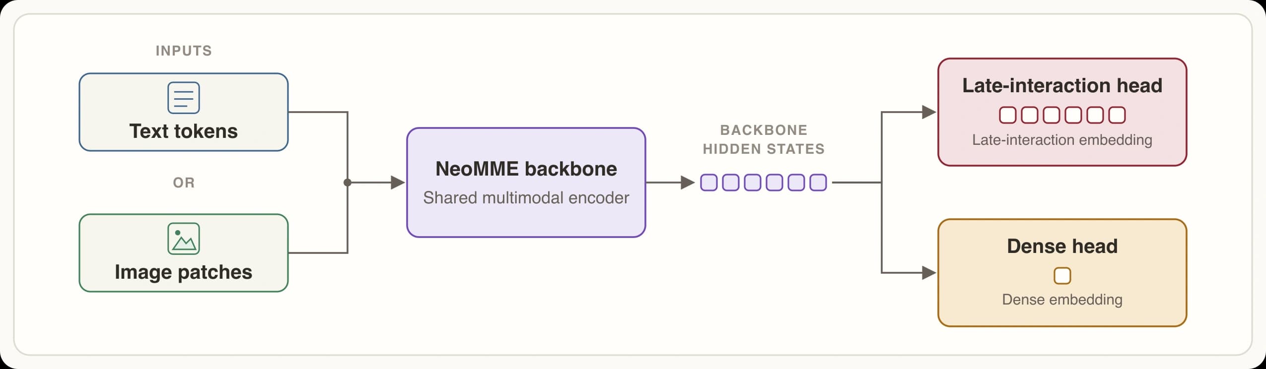 Late-interaction and dense retrieval heads for NeoMME