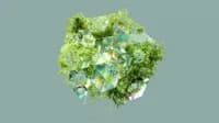 A cluster of iridescent, crystalline cubes intertwined with lush green foliage