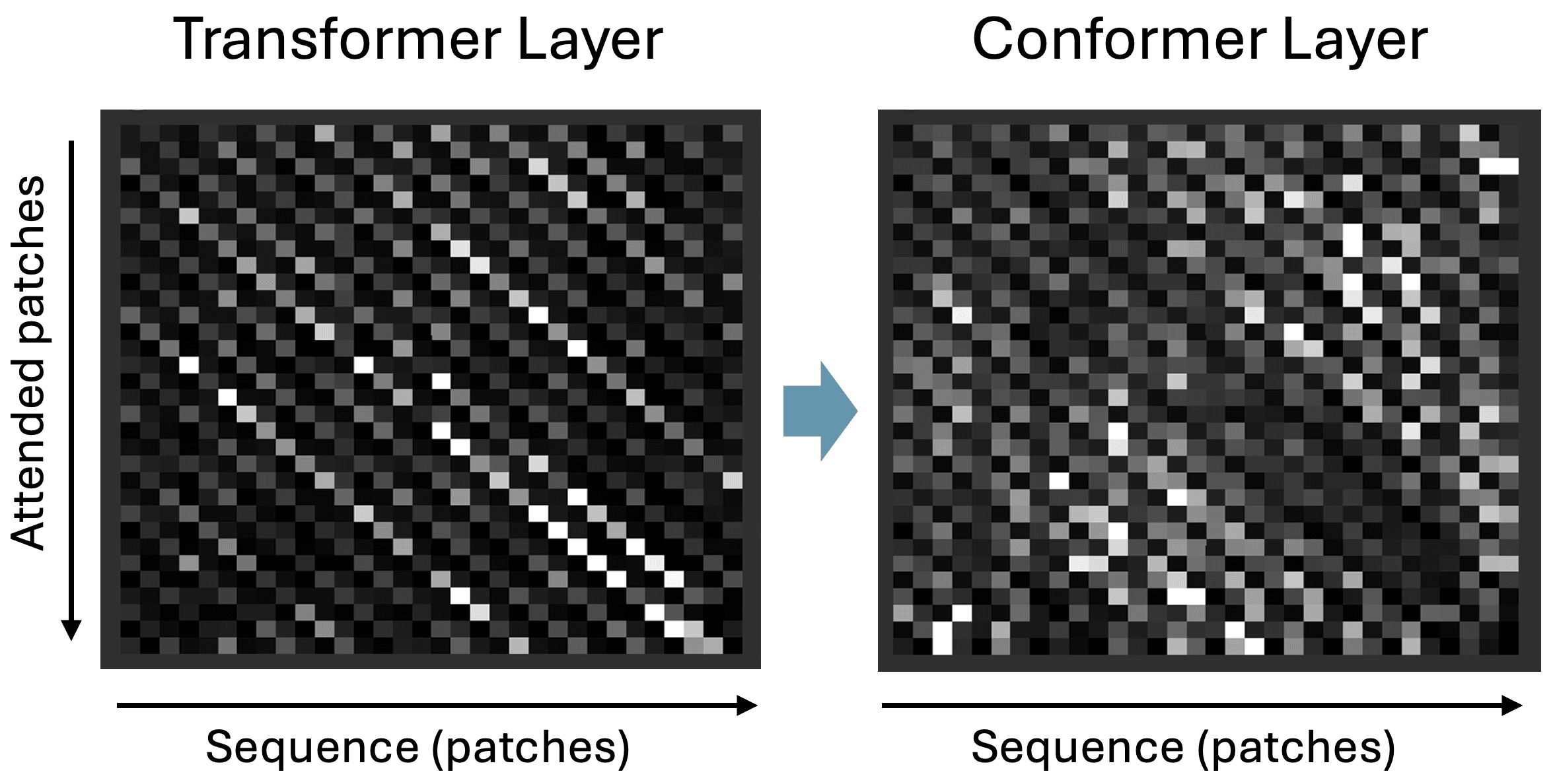 Transformer and conformer attention patterns