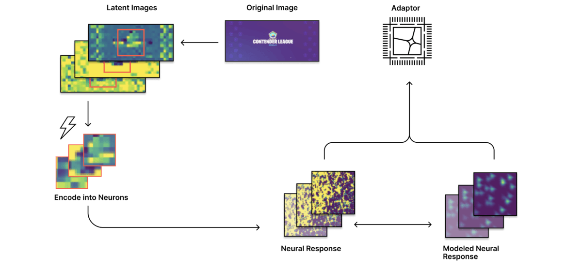 The Biological Computing Co. ใช้เซลล์ประสาททำ AI Video เร็วขึ้น 5 เท่า