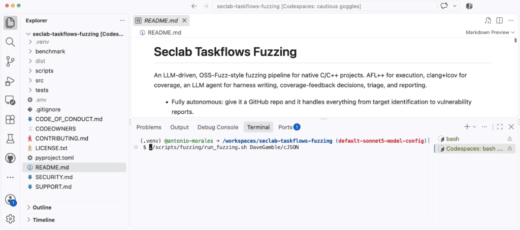 Screenshot of Seclab Taskflows Fuzzing.