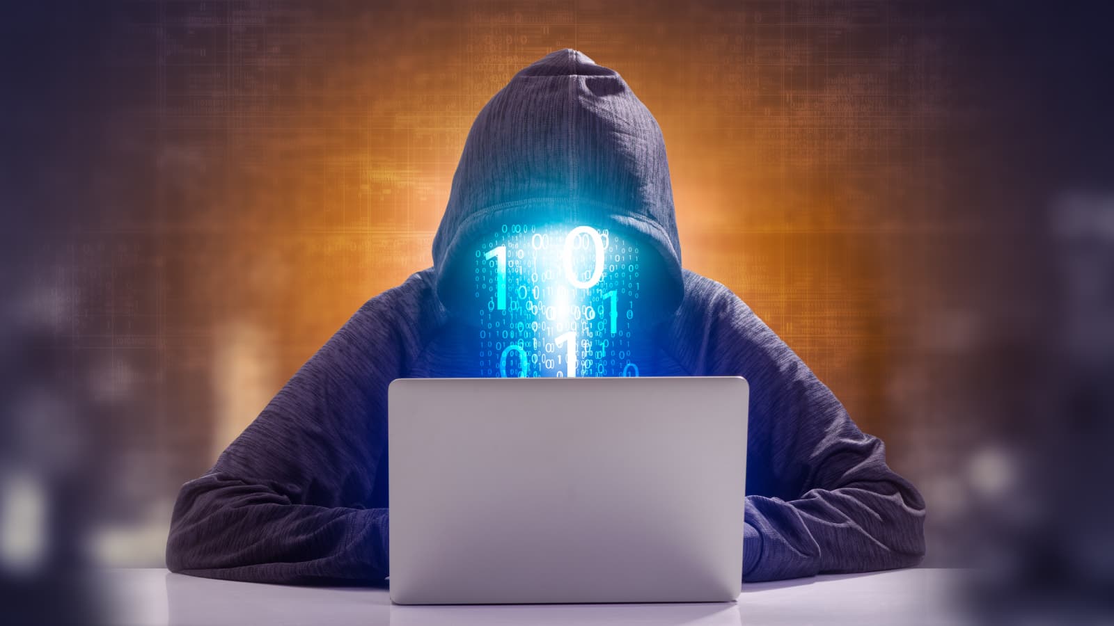 Figure in front of a PC