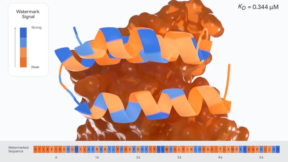 A 3D visualization of a molecular protein structure highlighting a watermarked sequence. The main background features a brown molecular surface representation, with two helical structures in the foreground color-coded along their ribbons in shades of orange and blue. A legend in the top left indicates "Watermark Signal," ranging from "Strong" represented by blue to "Weak" represented by orange. In the top right corner, the affinity constant is written as $K_D = 0.344,\mu\text{M}$. At the bottom,