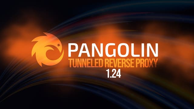 Pangolin 1.24 เพิ่มระบบ Exit Nodes และ Subnet Routing บน Linux