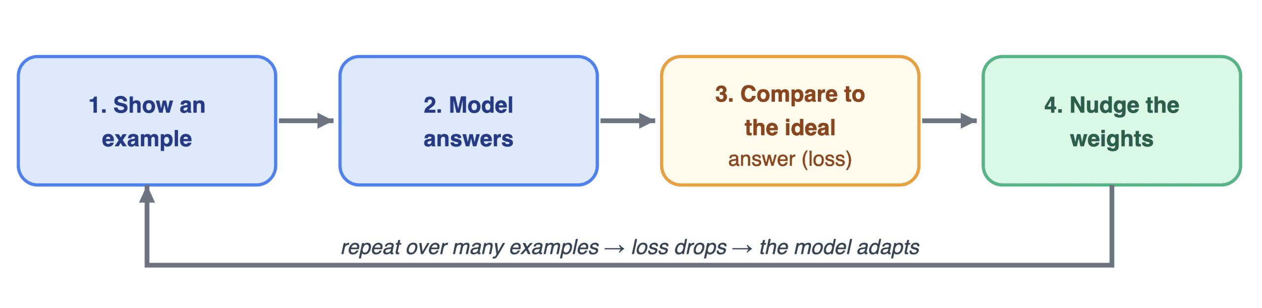 Fine-tuning training loop diagram