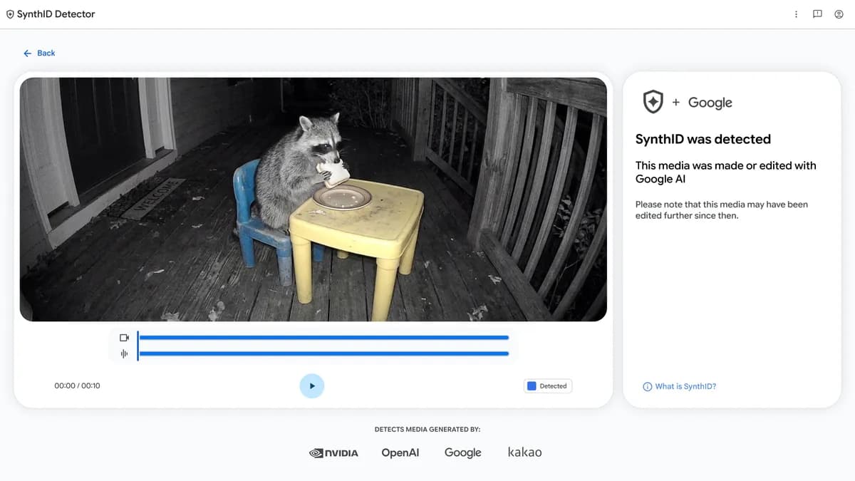 A screenshot of the SynthID Detector tool showing a video player with a night-vision video of a raccoon sitting and eating a sandwich.