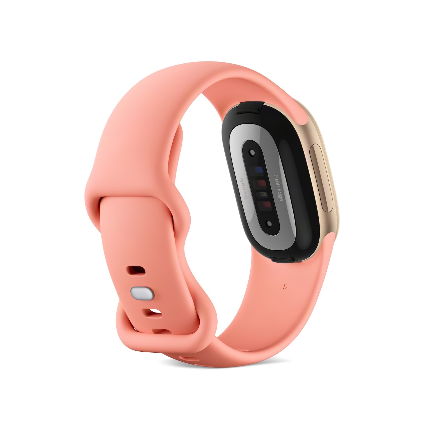 Google เปิดตัว Fitbit Edge สมาร์ทแบนด์จอ AMOLED พร้อม GPS