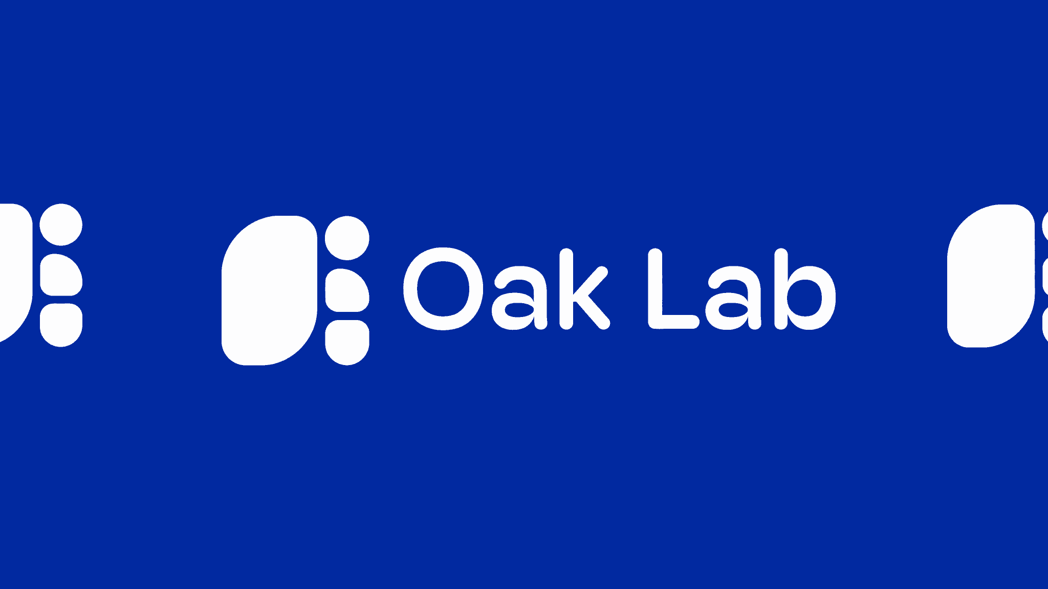 Rich Sutton เจ้าของรางวัล Turing Award เปิดตัว Oak Lab มุ่งสร้าง AI Agent ที่เรียนรู้ได้เองตลอดเวลา