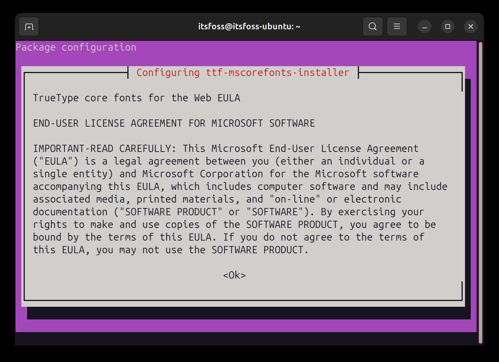 Accept the EULA for Microsoft Software while installing the Ubuntu Restricted Extras package.