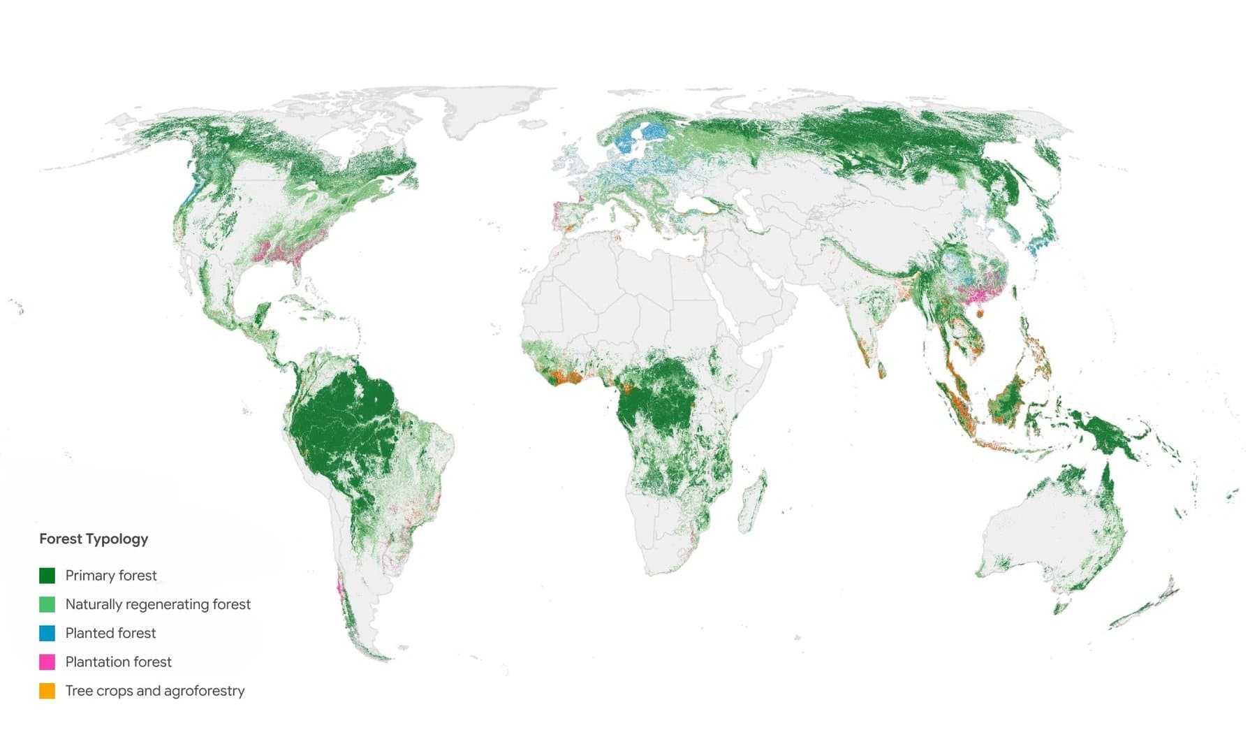 The map shows the most common forest or land use class in each square kilometer, while the underlying data has a resolution of 10 meters.