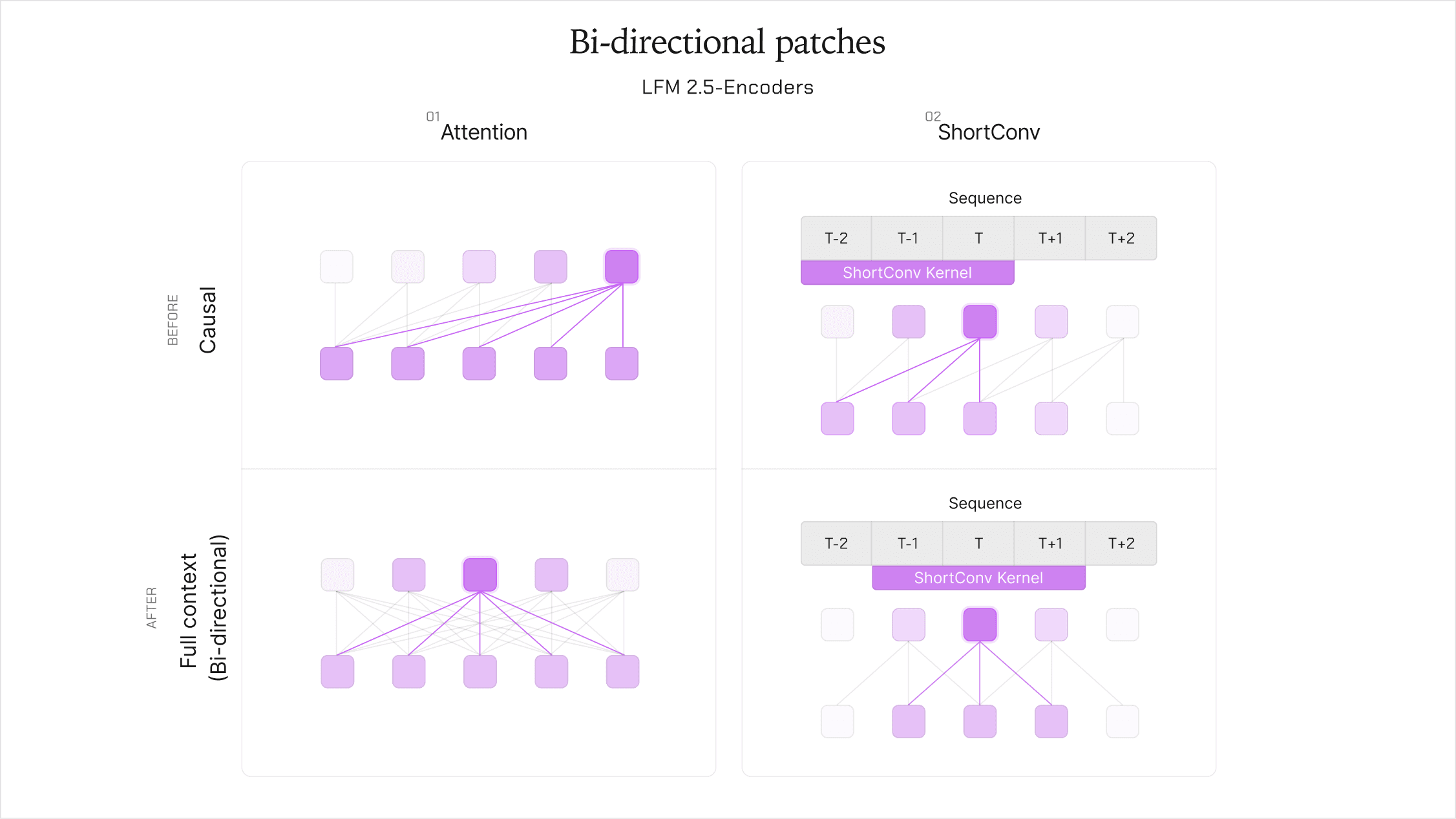 bidirectional_patches