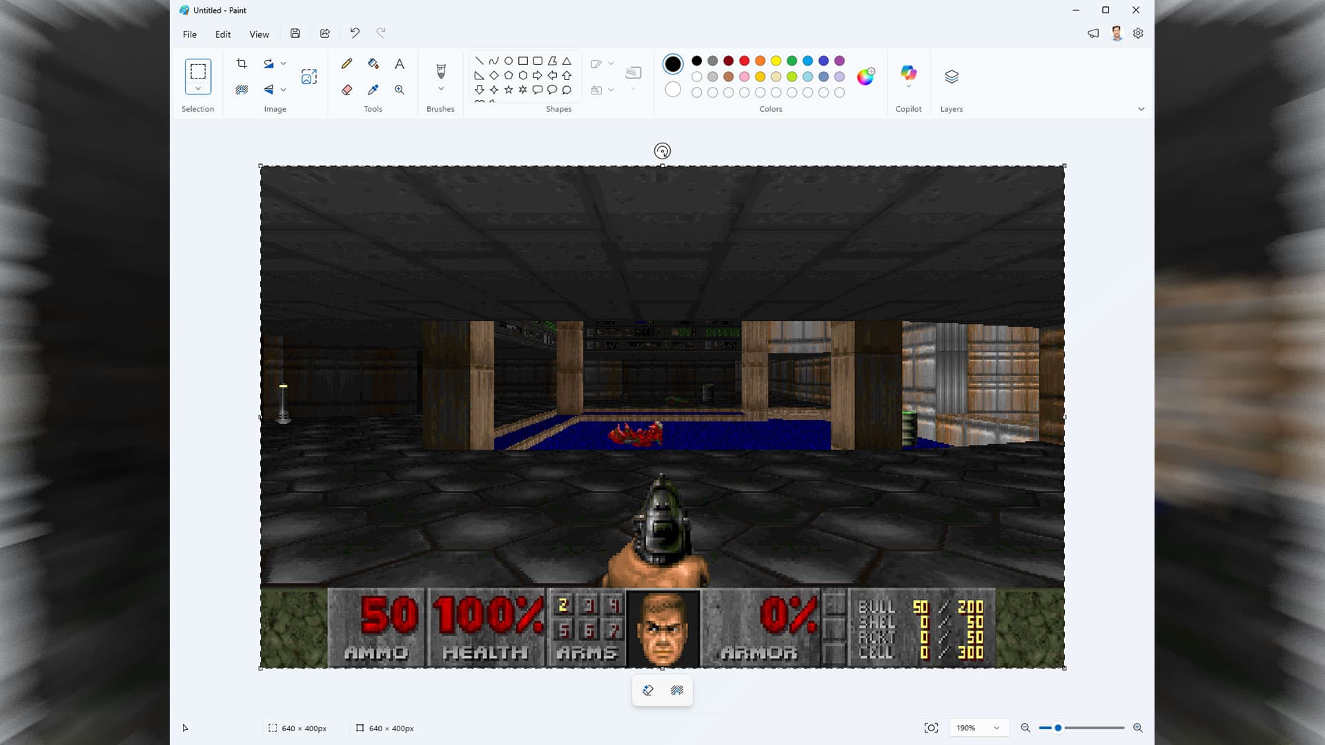 DoomPaint