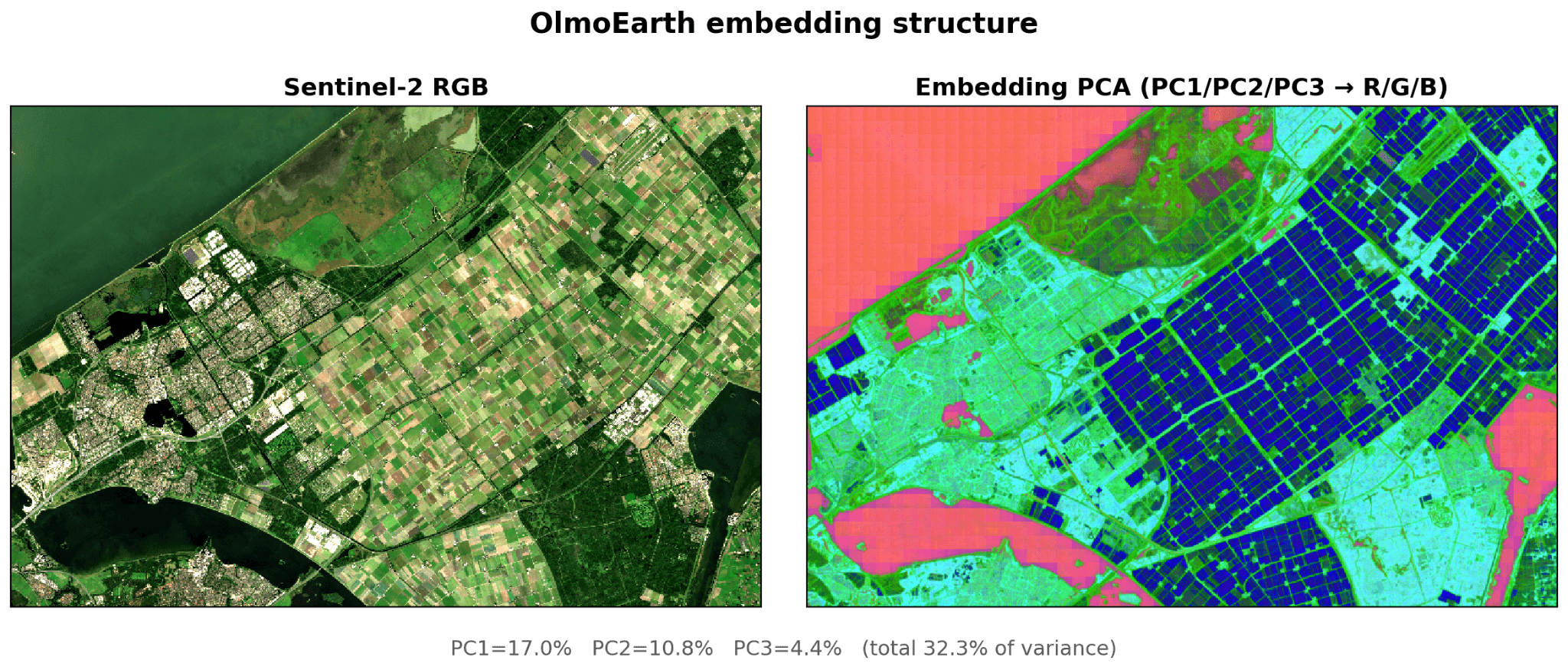OlmoEarth embedding structure over Flevoland, the Netherlands: Sentinel-2 RGB beside a PCA false-color image mapping PC1, PC2, and PC3 to red, green, and blue, which reproduces the polder parcel grid