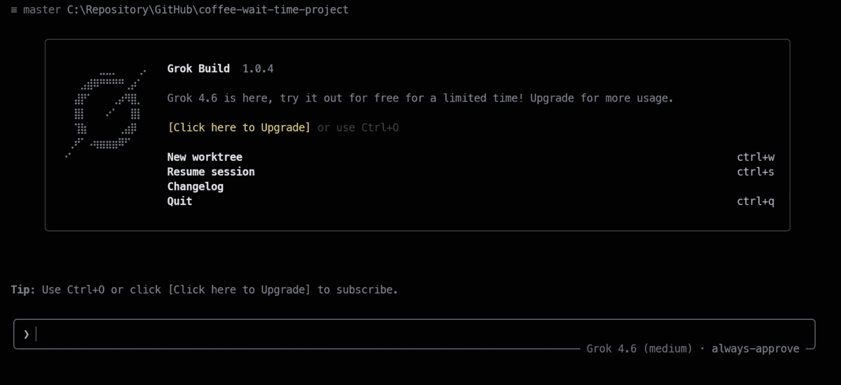 Grok Build interactive terminal interface on launch