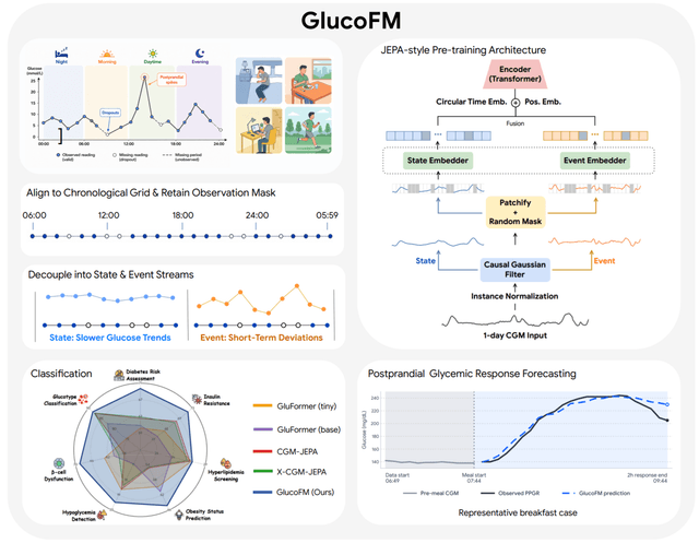 GlucoFM: โมเดลพื้นฐาน AI สตรีมคู่ ยกระดับการตรวจวัดระดับน้ำตาลและประเมินสุขภาพการเผาผลาญ