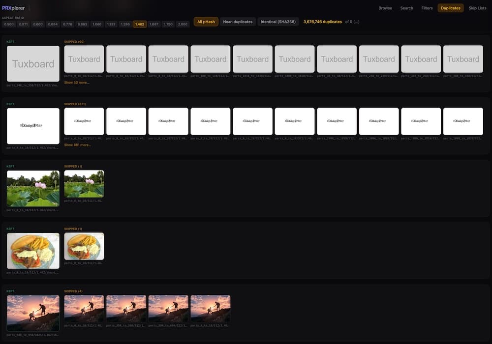 explorer_duplicates