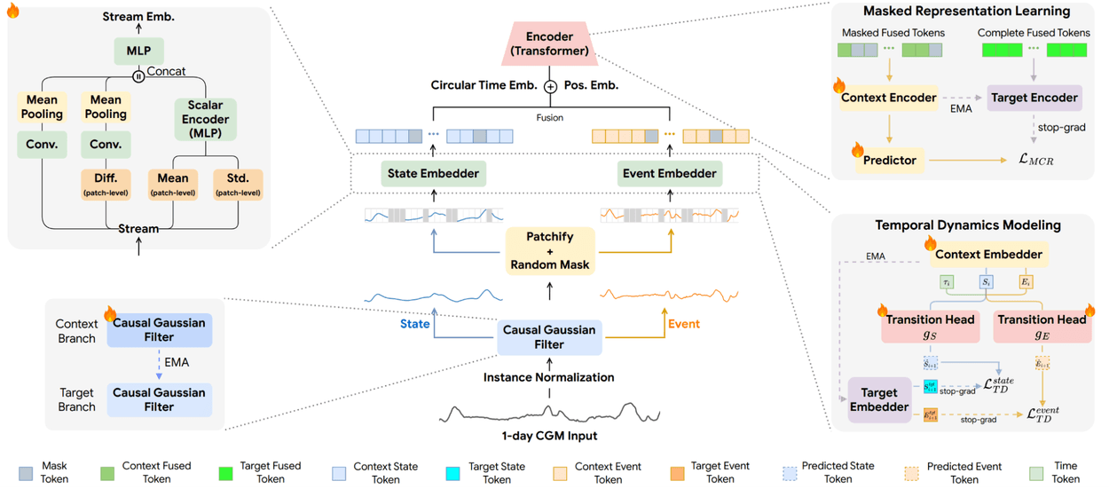 Detailed architectural schematic of the GlucoFM model displaying stream embeddings, a transformer encoder, and temporal dynamics modeling.